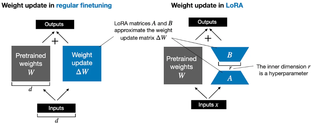 lora_basic